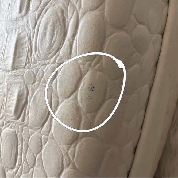 Alexander McQueen x Samsonite Black Label Limited Edited Luggage - Picture 15 of 16